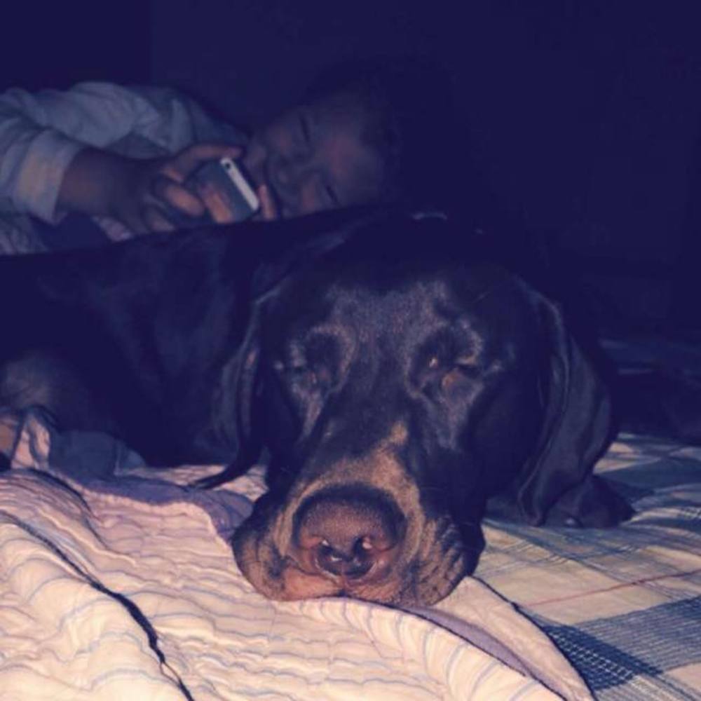 Meet your Posher, Gabby